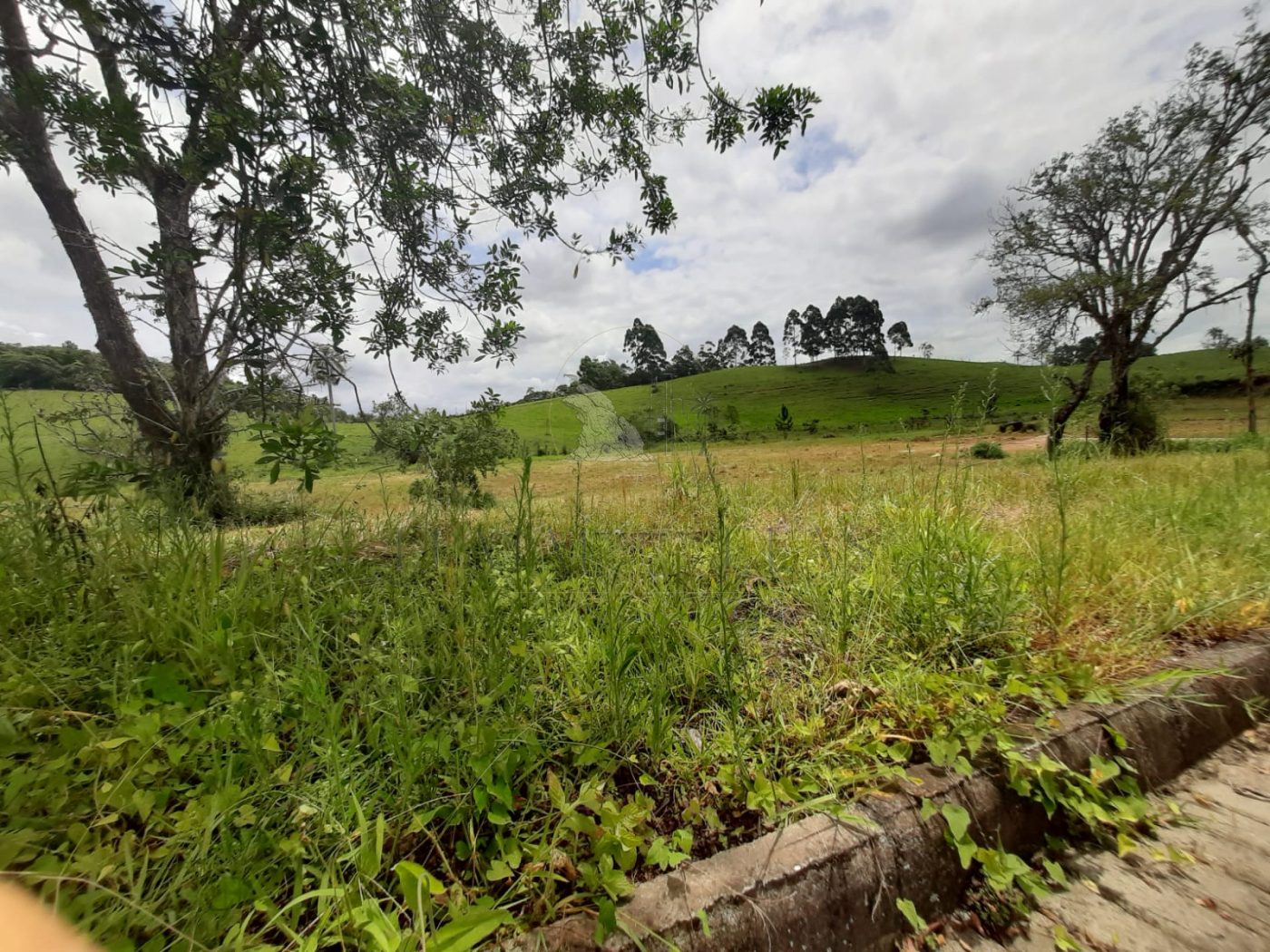 Terreno para Venda no bairro Baia em Itajaí - Condomínio Rural